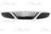 DAEWOO 96272287 Radiator Grille